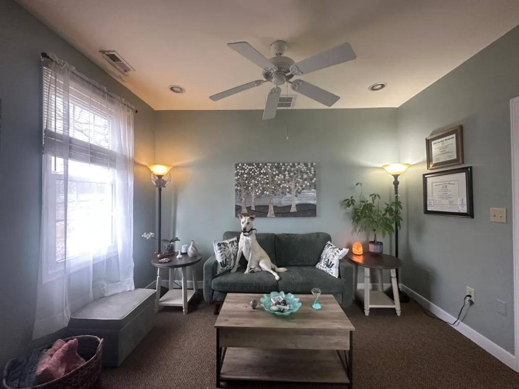 Office room with dog on couch and framed credentials